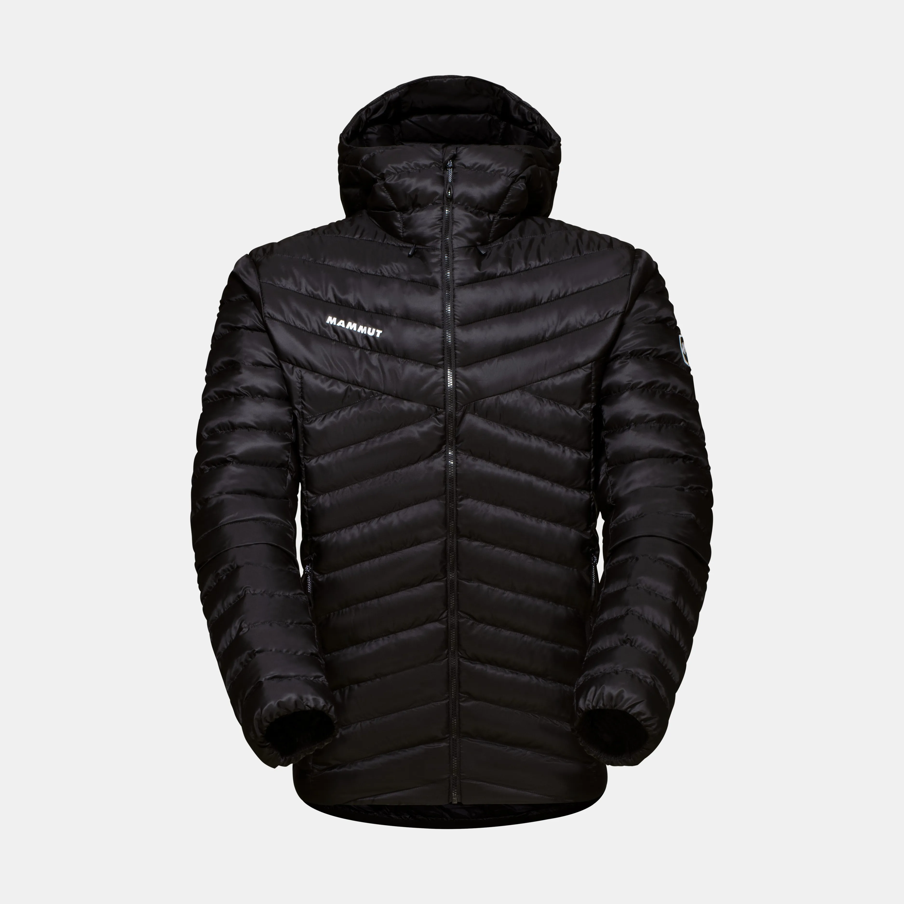 Mammut Albula IN Hooded Jacket Men