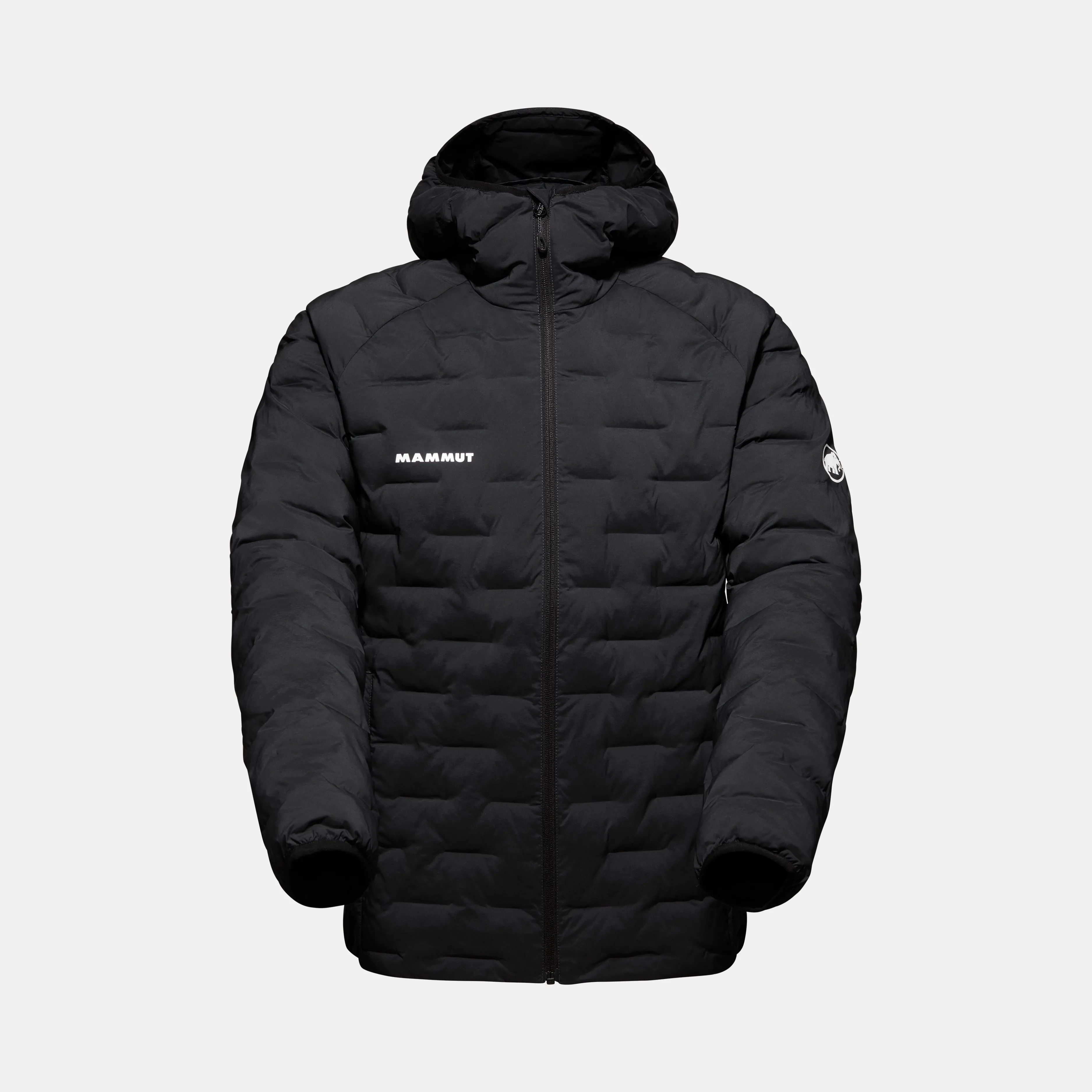 Mammut Sender IN Hooded Jacket Men