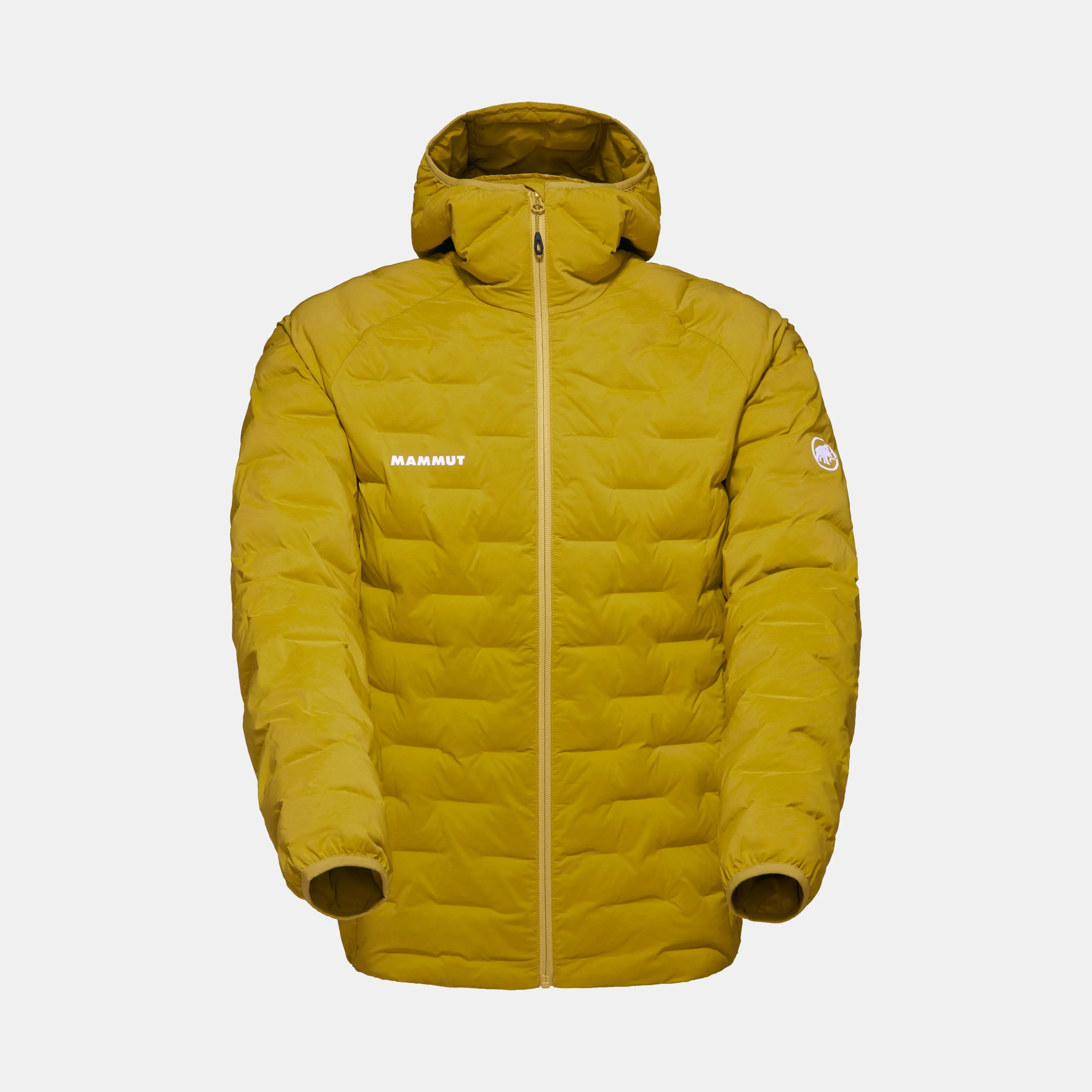 Mammut Sender IN Hooded Jacket Men