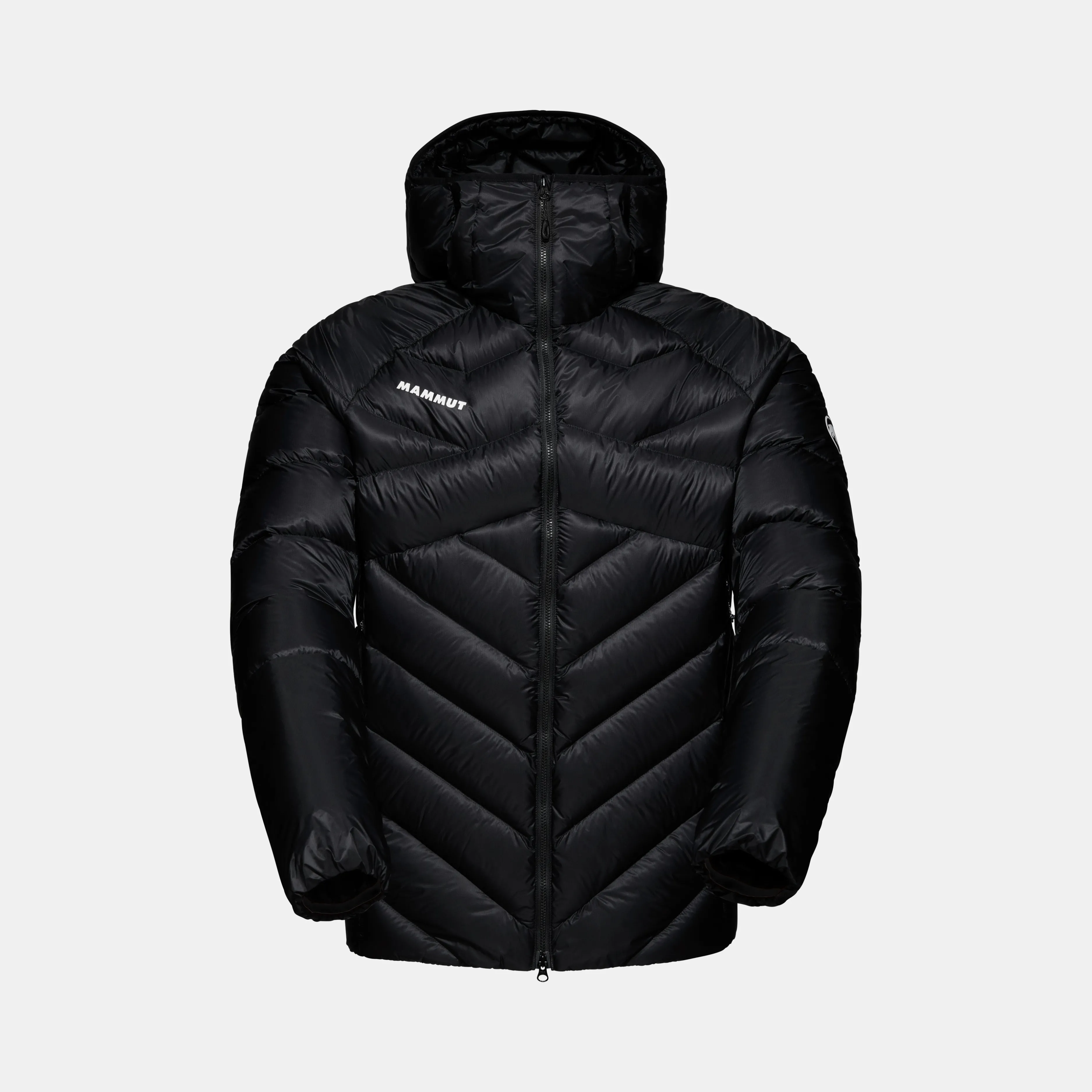 Mammut Taiss IN Hooded Jacket Men