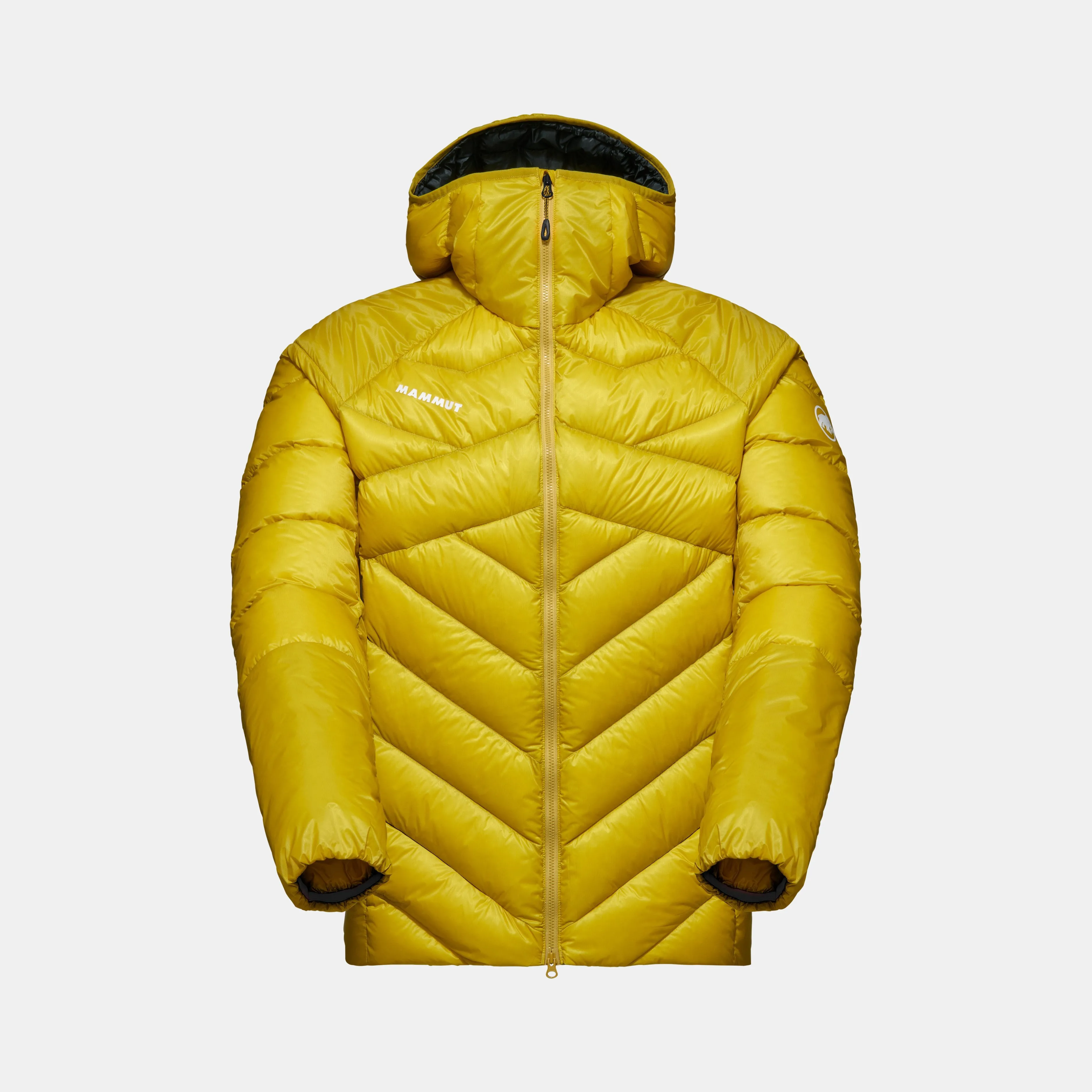 Mammut Taiss IN Hooded Jacket Men