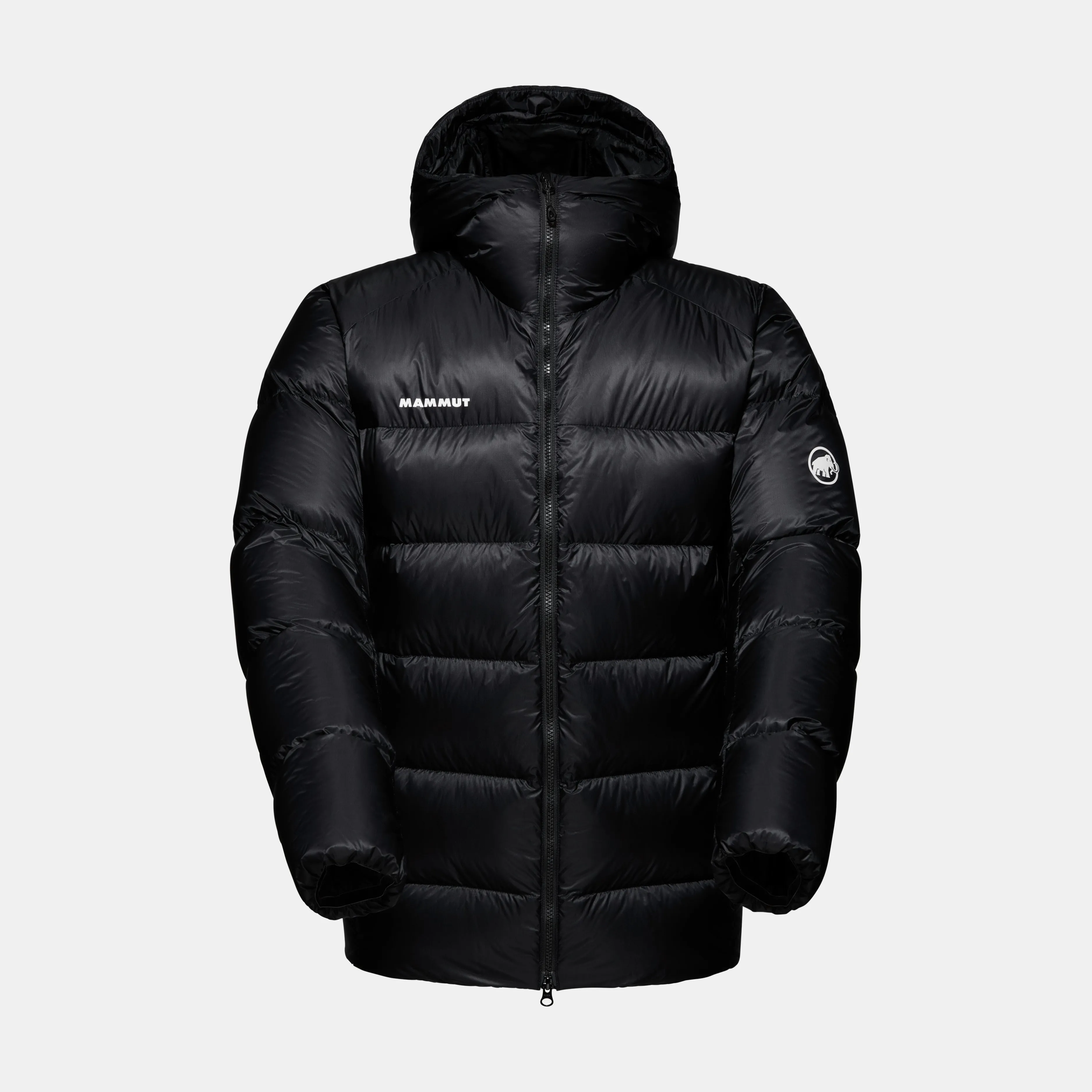 Mammut Taiss Pro IN Hooded Jacket Men