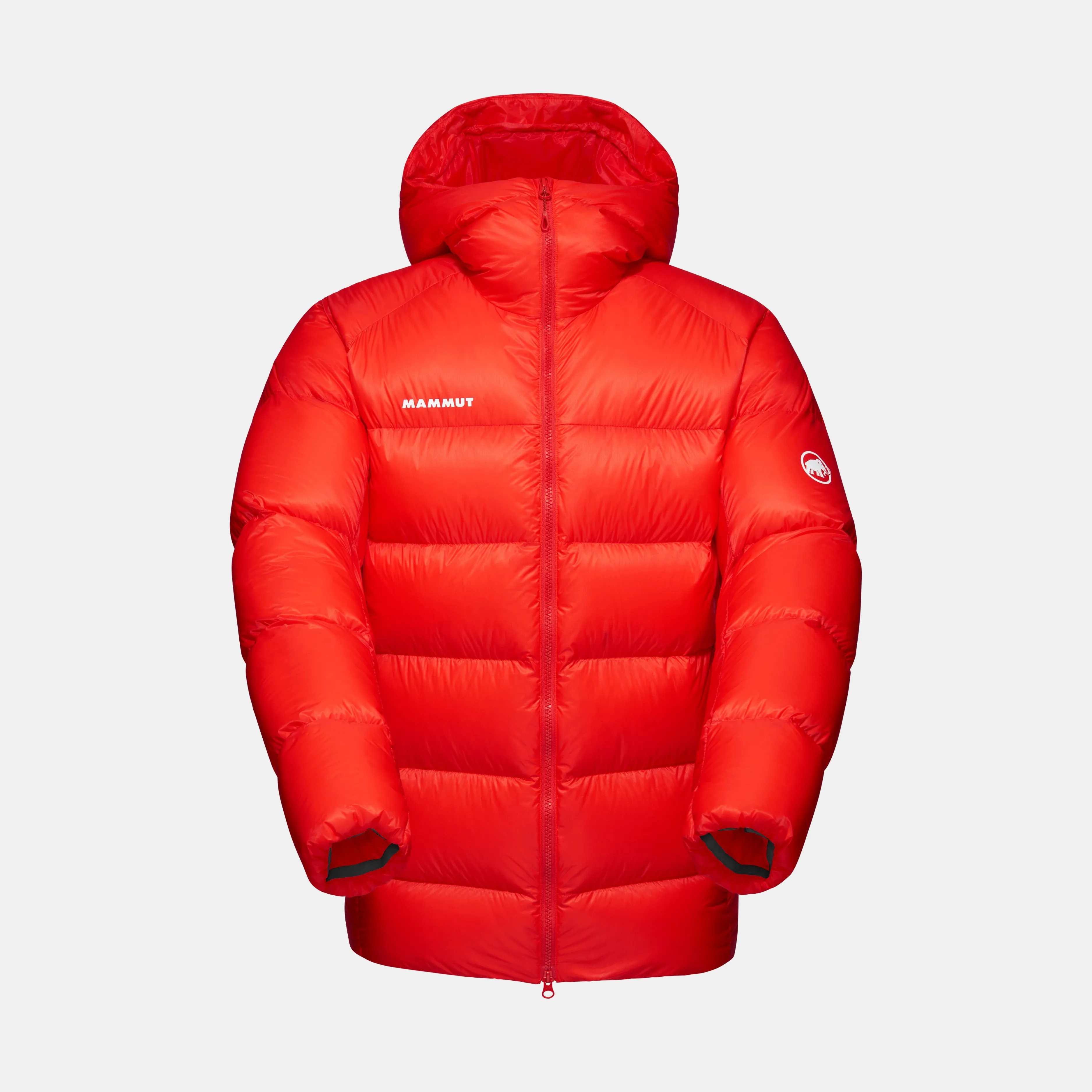 Mammut Taiss Pro IN Hooded Jacket Men