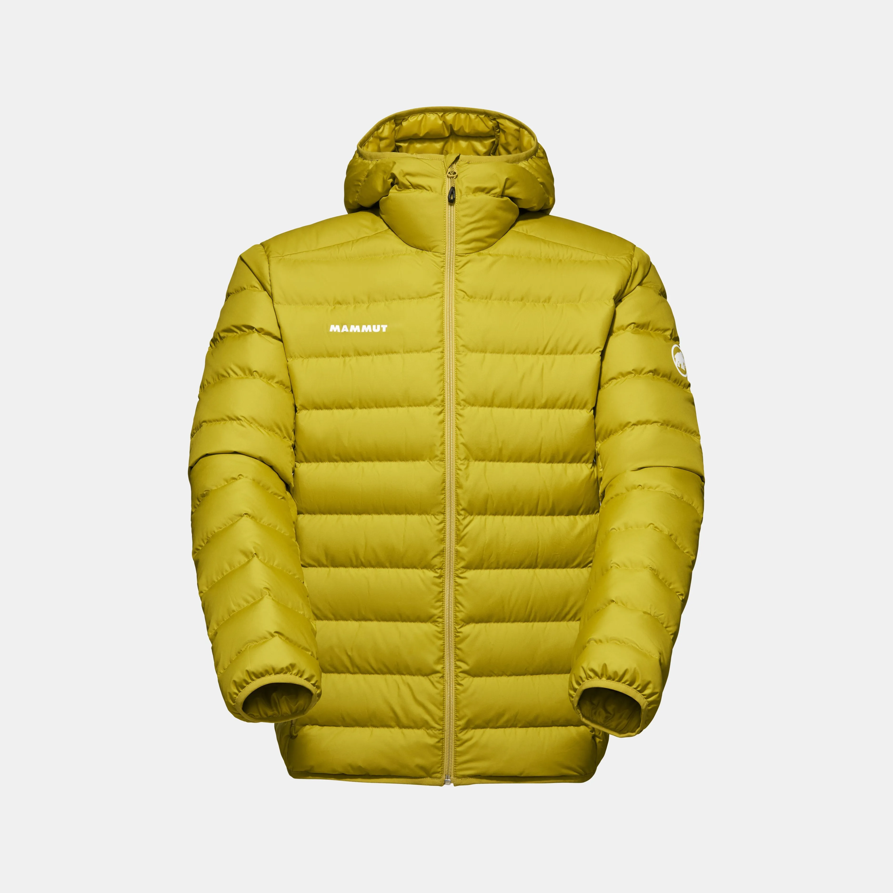 Mammut Waymarker IN Hooded Jacket Men