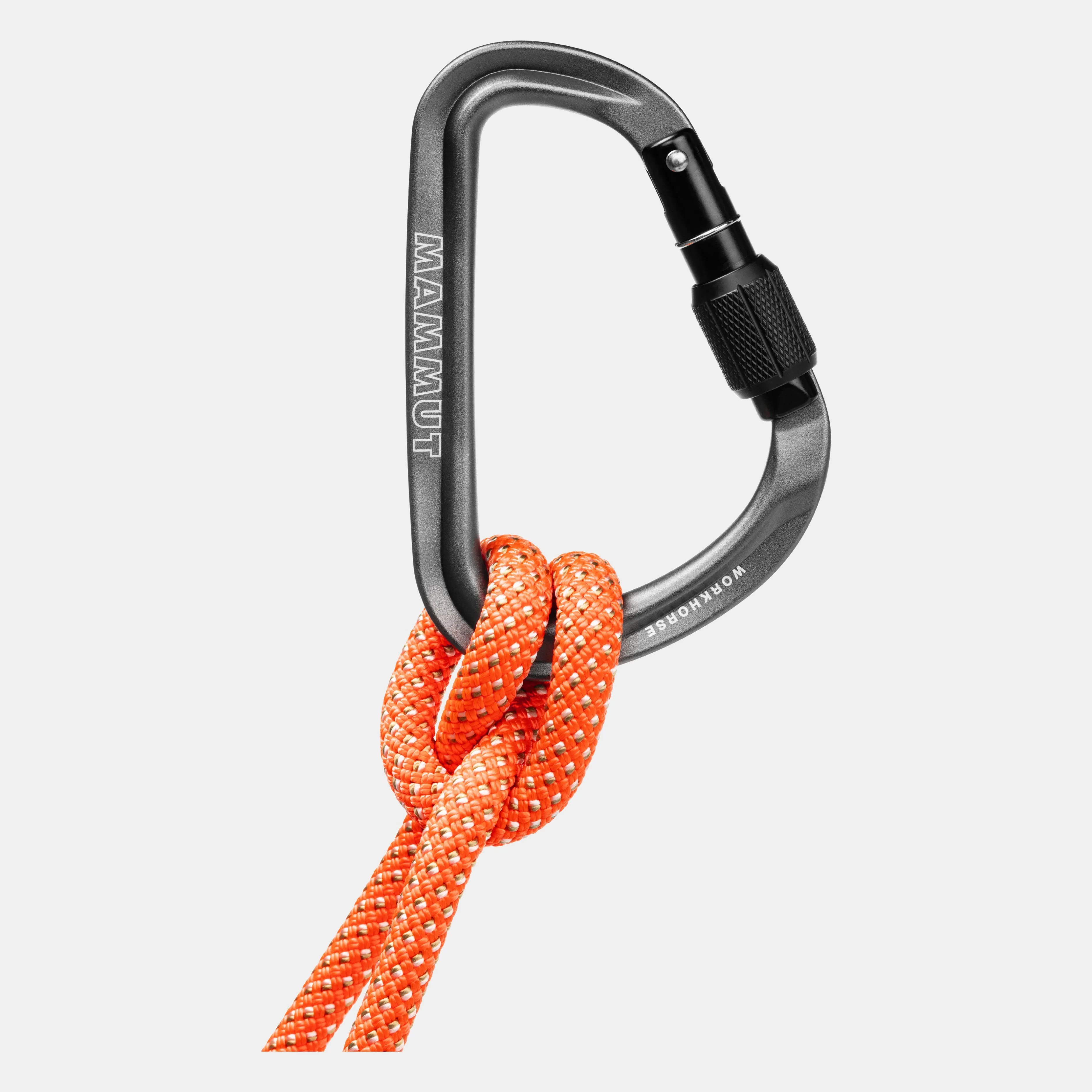 Women Mammut Workhorse HMS Screwgate Carabiner